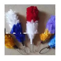 Soraj Enterprises Premium Plumes de volaille teintées de 3,6 pouces pour centres de table, mariages, fêtes, projets de chapellerie et mode