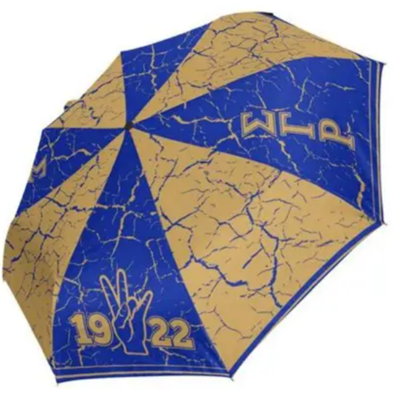 Sigma Gamma Rho 8