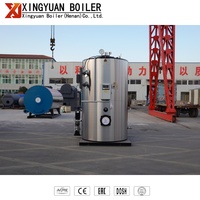 Chaudière à vapeur à gaz et à mazout Xingyuan basse pression 0,2 tonne 200 kg/h LHS