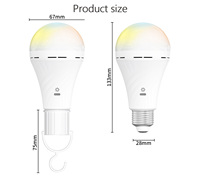 Ampoule LED rechargeable 5W avec télécommande et chargement USB, éclairage d'urgence pour la maison et le camping