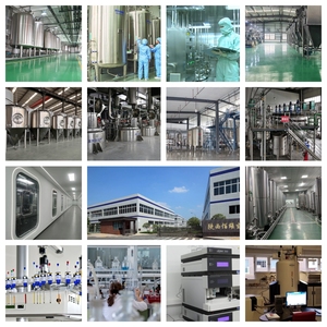 <span class=keywords><strong>10</strong></span>:1 20:1 nhân sâm đỏ chiết xuất từ rễ bột nhân sâm đỏ Hàn Quốc chiết xuất 5%-<span class=keywords><strong>80</strong></span>% ginsenosides - Product Image 4