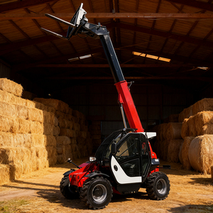 Gru Telescopica per Operazioni in Spazi Ristretti, Carrello Elevatore Diesel con <span class=keywords><strong>Cestello</strong></span> per Operatore - Product Image 6