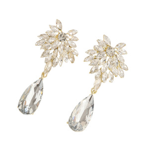 European and American style <b>crystal</b> water drop <b>earrings</b> women's long flower diamond <b>earrings</b> high fashion temperament <b>earrings</b> - Product Image 5