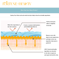 Haute qualité Hydro Jelly poudre masque facial Anti-acné taches Hydrojelly Provence pur citron gelée masque poudre