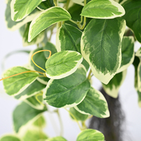 Plante artificielle de haute qualité, topiaire de boxwood de 70 cm en pot en plastique, plante artificielle de qualité commerciale pour la décoration paysagère extérieure