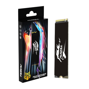 PUSKILL Factory Hot Selling Customized High Speed and Good Price NVMe M.2 2280 PCIE3.0 SSD 512GB For Gaming computer - Product Image 1
