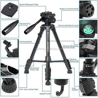 Trépied pliable YUNTENG YT-900 avec roulettes en aluminium pour studio photo, vidéo, éclairage, verrouillable, pour diffusion en direct