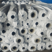 UV Dayanımlı Açık Hava Kullanımına Uygun Bütil Kendinden Yapışkanlı TPO Su Yalıtım Membranı, Renkli Çelik Kiremit Metal Çatı Sızıntı Onarımı İçin