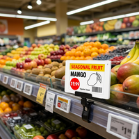 Etiqueta de Precio Digital E Ink, Etiqueta Electrónica para Estantes de 3.7 Pulgadas, Sistema ESL para Tiendas de Abarrotes y Comercio Minorista