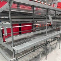 Bigherdsman Équipement d'élevage avicole pour poulets de ferme en plein air, Cages, Poulaillers et Systèmes d'aviaries