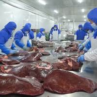 Foie de bœuf congelé de qualité supérieure à prix avantageux - Prix direct usine disponible Foie de bœuf congelé à vendre