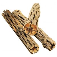 Spot de basking en bois de Cholla pour lézards léopards, décoration artistique pour la maison, accessoires pour lézards et dragons barbus, vente en gros
