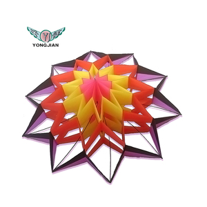 2020 high quality wholesale outdoor playing 3d box lotus kite