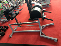 Équipement de musculation en gros, appareil d'entraînement complet réglable, développeur de fessiers et de l'hampe tibiale, machine GHD, chaise romaine, développement des fessiers et de l'hampe tibiale