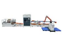 Machine à emballer faciale ZD-ZX20 de cas de papier 20 battements