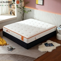 Matelas intelligent à ressorts ensachés réglables AISLUMBERX - Moderne, écologique, convertible pour hôtels/appartements, compressé sous vide, OEM/ODM