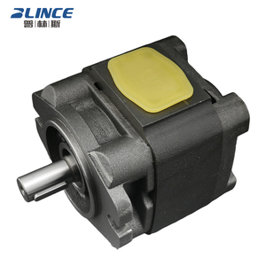 Bomba Hidráulica de Alta Presión Blince Ipv 3 4 5, Bomba de Engranajes Hidráulica Interna Servo para Máquina de Espuma - Product Image 3