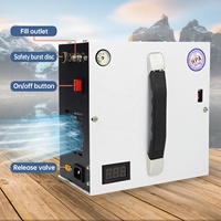 Compresseur d'air PCP TUXING léger avec transformateur intégré, 300 bar, 4500 psi, 30 MPa, refroidissement par ventilateur, 220 V, 12 V CC, pour plongée sous-marine, paintball