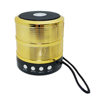 Altavoz Portátil Económico Speaker Factory 887, Mini Altavoz Inalámbrico para Viajes, Senderismo y Camping