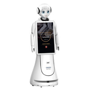 Il Servizio clienti Femminile Server Robot Humanoide per la Vendita - Product Image 3