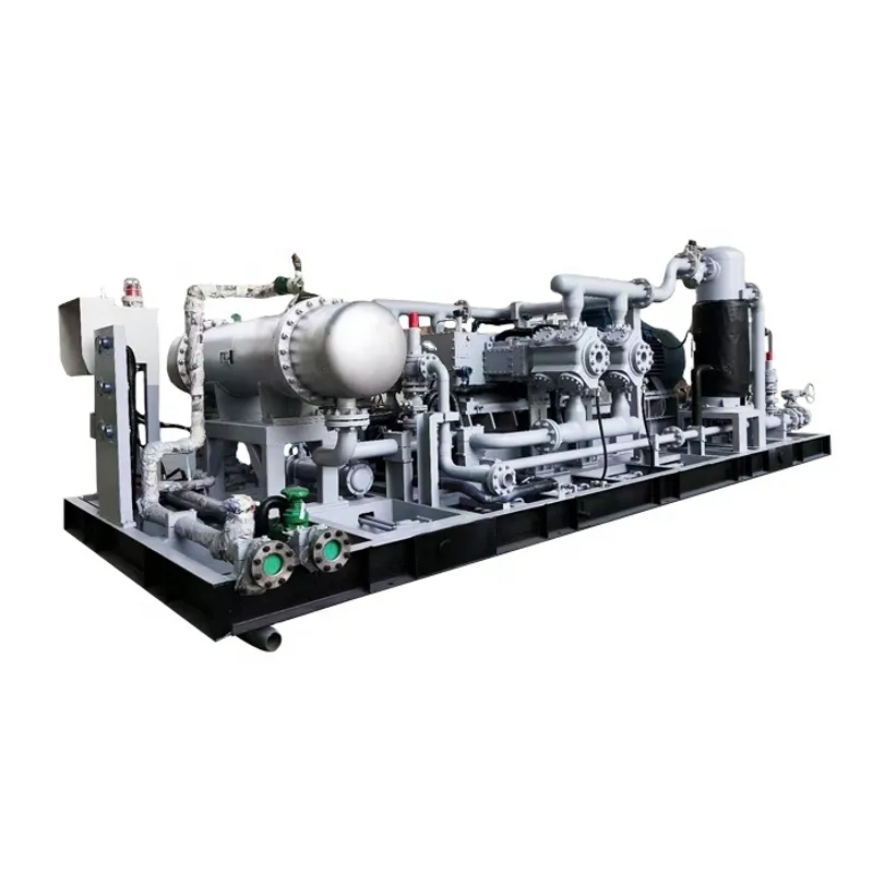 Hoge Prestaties Industriële Cng Ph3 Membraan Speciale Gascompressor Voor Gas Tankstation