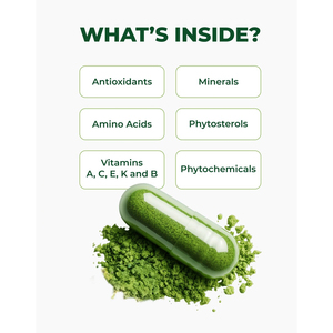 Capsules de Moringa de haute qualité, marque privée, pour soutenir la santé immunitaire, stimuler l'énergie et favoriser la santé des cheveux et de la peau. - Product Image 5