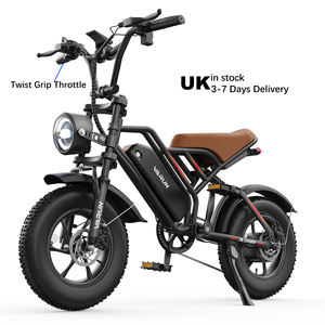 Bicicleta Eléctrica VARUN con Neumáticos Gruesos de 16 Pulgadas, 65 km de Autonomía, 500 W, 40 km/h, Suspensión Completa, Todoterreno, para Adultos, Entrega en el Reino Unido en 3-7 Días, MOQ Bajo para Dropshipping - Product Image 1