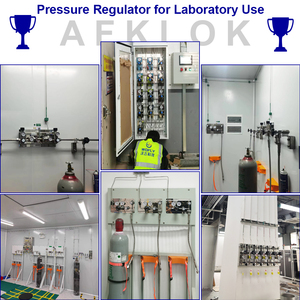 Máy đo áp suất 316 bằng thép không gỉ 0-25bar Kết nối 1/4in để kiểm tra áp suất đường ống công nghiệp - Product Image 6