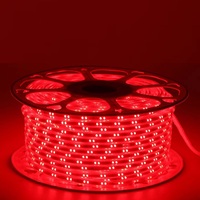 L'éclairage de bande flexible blanc chaud blanc bleu violet a mené des lumières de bande de LED de double rangée/bande lumineuse menée