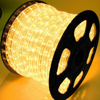Vente en gros IP65 LED étanche néon corde bande lumineuse personnalisée bricolage découpable intérieur/extérieur décoration de vacances couleur blanche