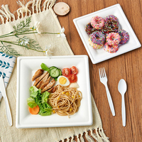 Vaisselle jetable personnalisée en canne à sucre, compatible micro-ondes, assiette carrée compostable et biodégradable en bagasse de 10 pouces