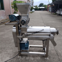Vbjx Industriële Automatische Citroen Citrusvruchten Groente Crusher En Juicer Sap Extractor Productielijn Verwerkingsmachine