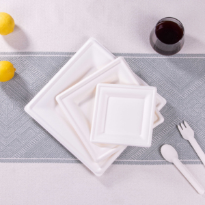 disposable plates with cover disposable dinner plates