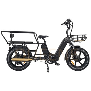 QUEENE/Dual Motor Double Battery 2000W 48V40Ah Off Road Long Range Fat Tire Family Cargo Ebike Aluminum Frame Electric <strong>Bike</strong>