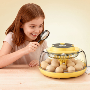 USA Warehouse 2026 <b>Hot</b> Sale Large <b>18</b> Egg Incubator FDQ Model PP Cover MQ Brand Precise Temperature Control Intelligent Humidity - Product Image 4