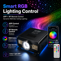 Kit de fibres optiques pour plafond étoilé RGB haute puissance 45W, solution d'éclairage en fibre PMMA avec télécommande APP