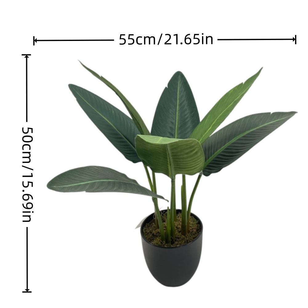 simulation bird of paradise