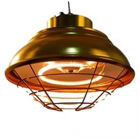 Intérieur Extérieur Volaille Couveuse Infrarouge Halogène Poulet Porc Canard Alimenté Lampe Chauffante Lampe Chauffante pour Poussin