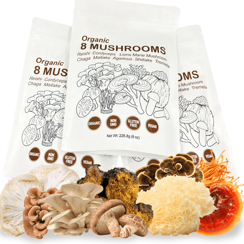 Cordyceps/Maitake/Reishi/Shiitake/bulu Singa/tiram/paduan bubuk jamur organik