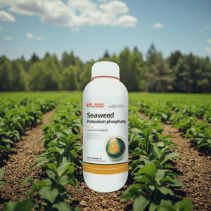 <span class=keywords><strong>Engrais</strong></span> foliaire <span class=keywords><strong>riche</strong></span> <span class=keywords><strong>en</strong></span> <span class=keywords><strong>phosphore</strong></span> <span class=keywords><strong>et</strong></span> <span class=keywords><strong>en</strong></span> <span class=keywords><strong>potassium</strong></span> à base d'algues, très vendu, pour compléter le <span class=keywords><strong>phosphore</strong></span> <span class=keywords><strong>et</strong></span> le <span class=keywords><strong>potassium</strong></span> - Product Image 6