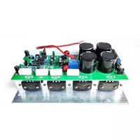 Amplificateur audio mono 1000W, carte amplificateur mono HiFi 1000W, haute puissance C3858 A1494