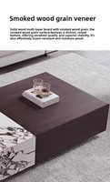 Table basse moderne en dalle de marbre, design minimaliste, structure en bois massif, espace de rangement, idéale pour les petits salons