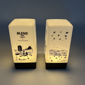 Lampada da Tavolo LED Ricaricabile OEM ODM con Logo Personalizzato, Luce Notturna Portatile per Campeggio, Bar e Decorazioni per Feste - Product Image 2