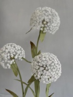 Fleurs en papier de pissenlit géant multicolore personnalisables faites à la main pour la décoration de toile de fond de mariage et d'affichage de fenêtre