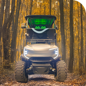 Carro de golf de tracción en las cuatro ruedas al por mayor carro de golf eléctrico todoterreno de 2 4 6 plazas - Product Image 4