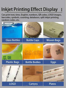 High Quality Durable Tij Printer for Label and <strong>Carton</strong> <strong>Coding</strong> Advanced Inkjet <strong>Machine</strong> with 600dpi Resolution Fast Dry Ink - Product Image 2