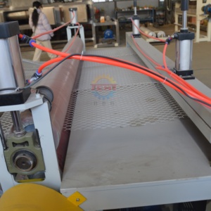 Tienda de campaña Nuevo diseño PE Geonet Máquina Advertencia Malla Rejilla Valla Red Línea de extrusión Malla protectora Máquina de fabricación de redes para película de alambre - Product Image 4