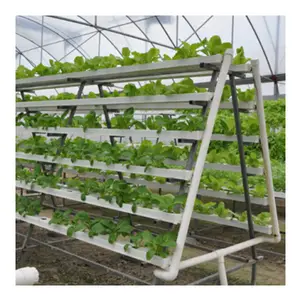 Low Price and Automatic Control System of Type A NFT Hydroponic Channel System