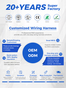 Ecuコネクタ付き自動車CNG/LPGワイヤーハーネスメーカー - Product Image 6