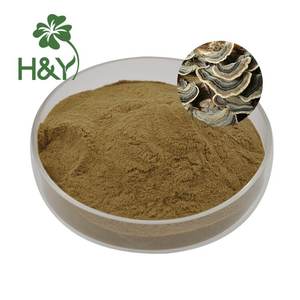 חם מכירת Coriolus versicolus לחלץ קפסולות זנב turkey - Product Image 4